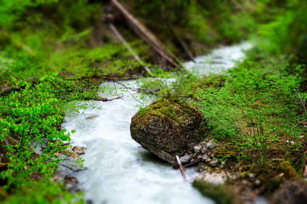 каньон реки природа сфотографирован с миниатюрным эффектом - tilt shift lense стоковые фото и изображения