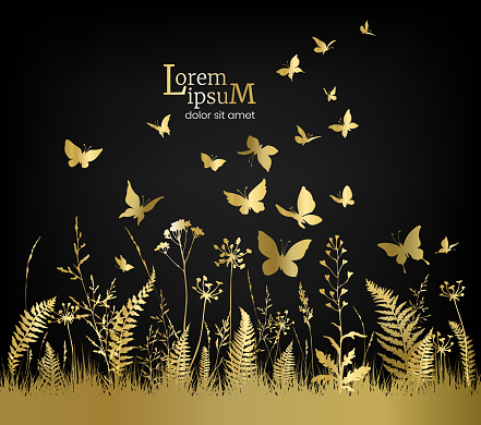 Floral field with golden flowers, herbs and butterflies on black background. Vector illustration.