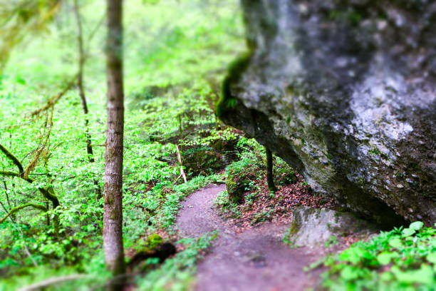 Nature River Canyon photographed  with tilt shift effect, Austria, Europe