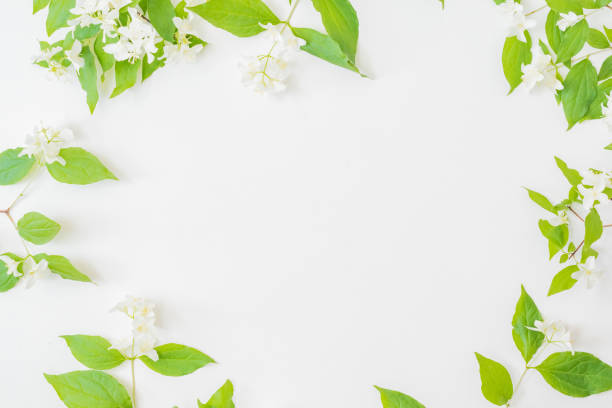 istock Flat lay composition with branches and green leaves, jasmine flowers on a white background 1318684983