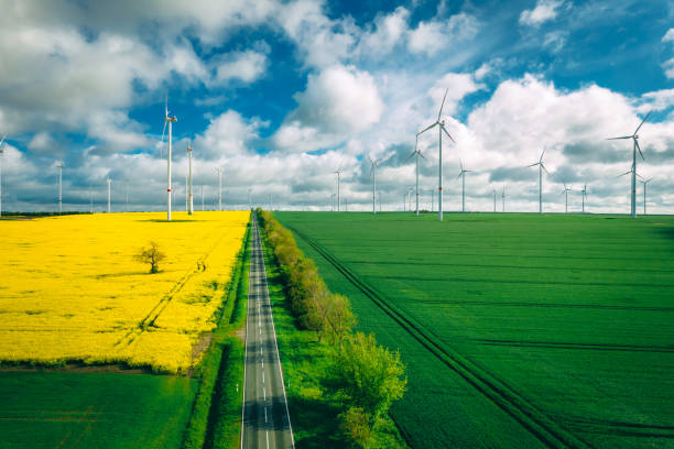 istock wind turbines and blooming yellow canola field 1318687169