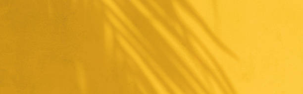 istock Exotic tropical palm branches on brigth yellow background 1318687253