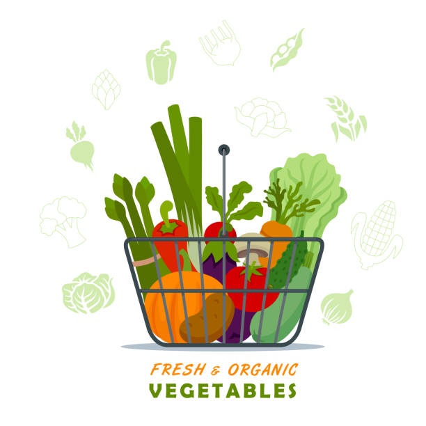 ilustrações, clipart, desenhos animados e ícones de vegetais frescos e orgânicos na cesta de compras. - asparagus vegetable market basket
