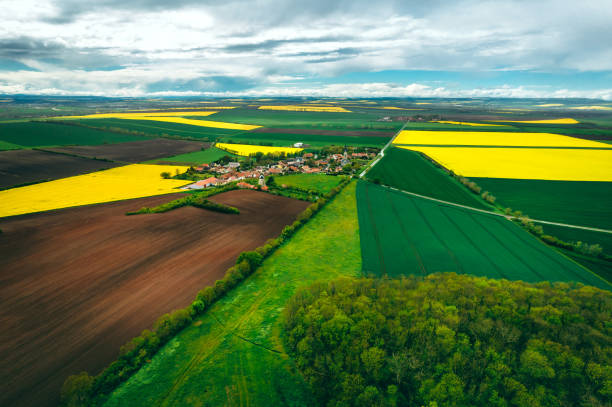 istock Aerial view of Agriculture fields and spring Landscape 1318688745