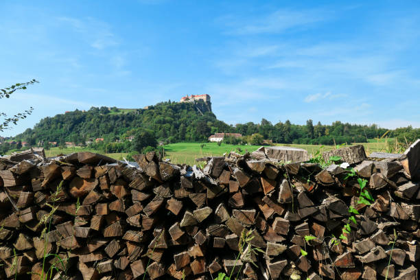 riegersburg - riegersburg castle in austria towering above the area. there are wooden logs pilled up in front. clear blue sky - pilled imagens e fotografias de stock