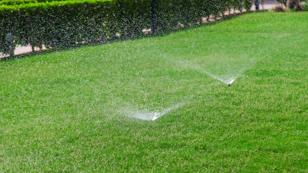 istock Watering lawn grass with water. Selective focus. 1318690526