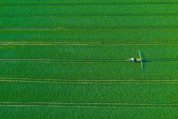 istock Aerial view of tractor spraying wheat field 1318691129