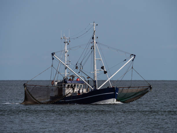 istock Shrimp cutter on the North Sea 1318691213