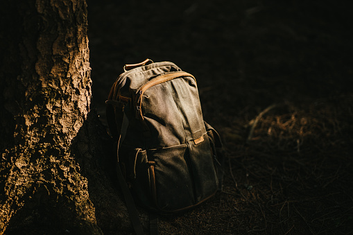 A close-up of a brown retro backpack on the ground next to a big tree trunk