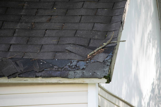 istock Damaged and old roofing shingles and gutter system on a house 1318693456