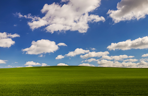 30,000+ Windows Xp Pictures | Download Free Images on Unsplash
