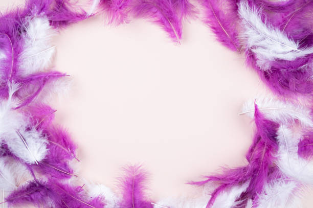 istock White and purple feathers. Close-up 1318693743