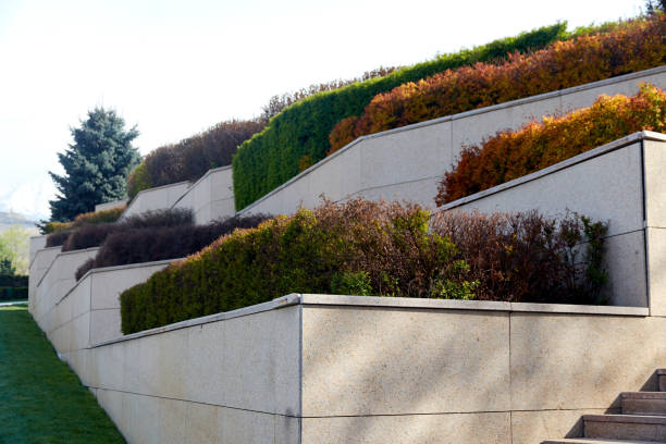 istock Tiered beds of granite with hedge bushes 1318694383