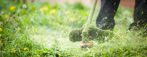 istock Cutting the grass with a professional handheld lawn mower 1318694750