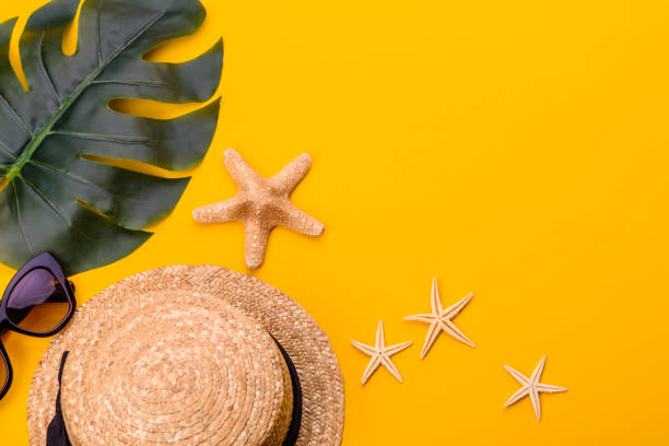 istock Beach accessories: glasses and hat with shells and sea stars on a colored background 1318697235