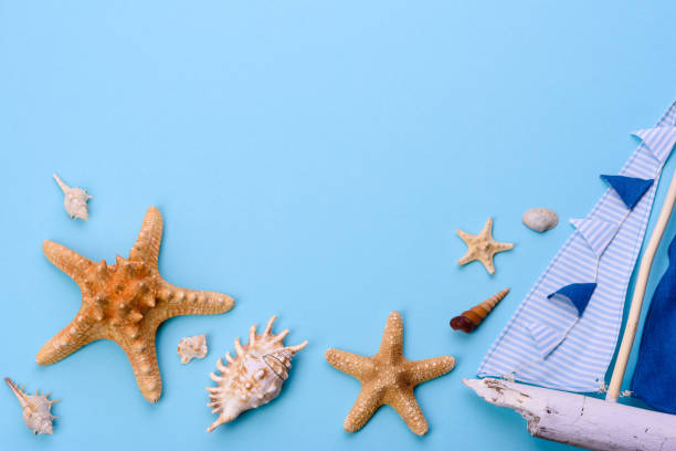 istock Beach accessories: glasses and hat with shells and sea stars on a colored background 1318697276