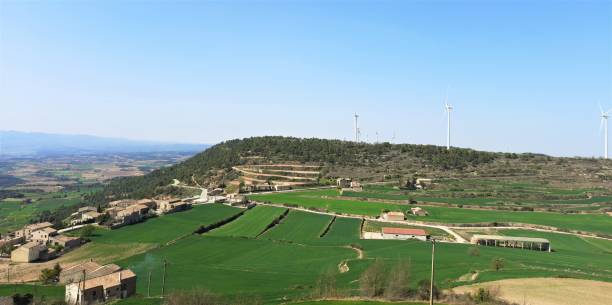 istock Green fields in the mountain area 1318698968