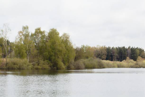 istock The lake Craimoosweiher in Bavaria Germany 1318699705