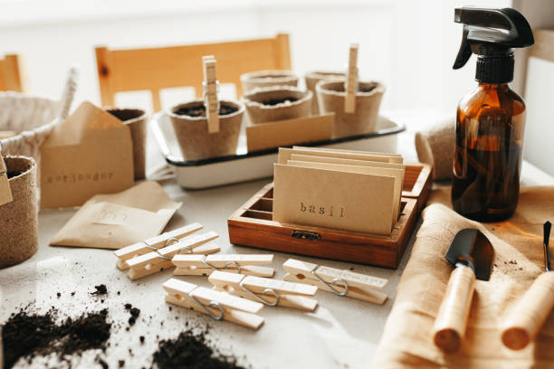 istock Seeds, pots, gardening tools. Home gardening 1318699927