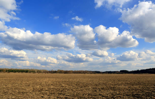 istock Plowed agricultural field in spring day 1318700866