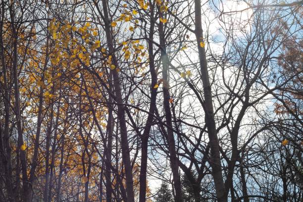 Kettle Moraine State Forest Lapham Peak Park
