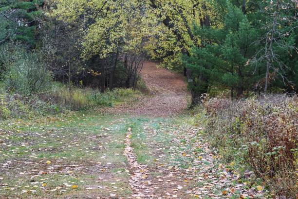 Kettle Moraine State Forest Lapham Peak Park
