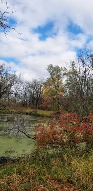 Kettle Moraine State Forest Lapham Peak Park