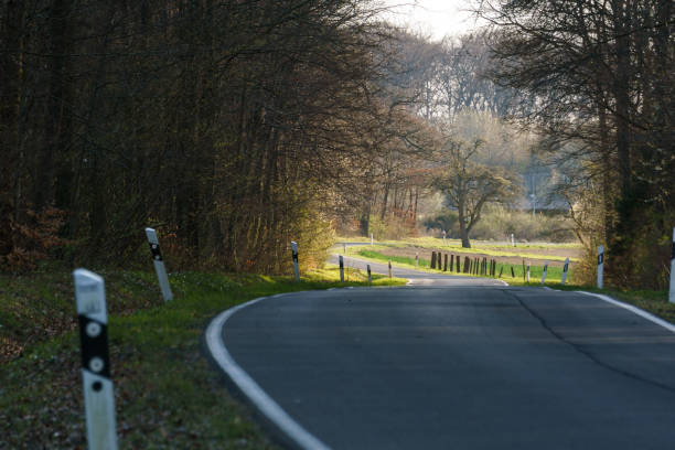 istock Asphalt road in dark spring forest leading into sunlight 1318707330