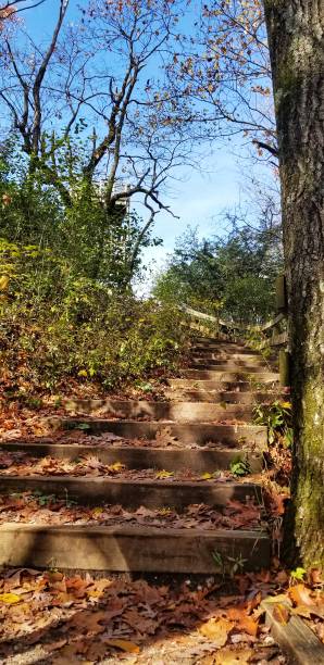 Kettle Moraine State Forest Lapham Peak Park