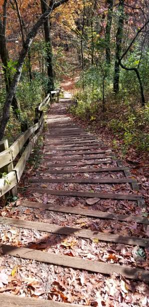 Kettle Moraine State Forest Lapham Peak Park