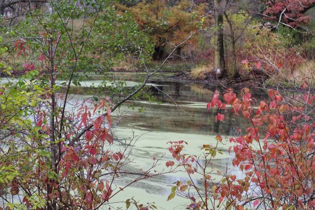 Kettle Moraine State Forest Lapham Peak Park