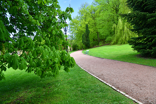lush greenery in the Alternsteiner Schlosspark