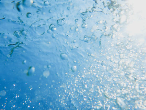 istock Undersea View stock photo 1318716224