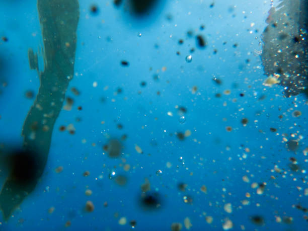 istock Underwater Splashes stock photo 1318716233