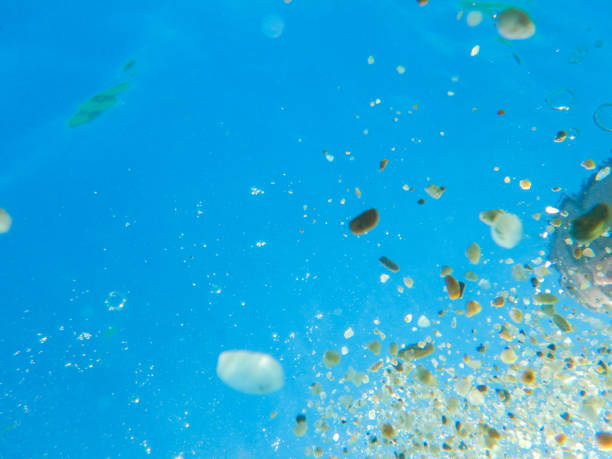 istock Bubbles stock photo 1318716240