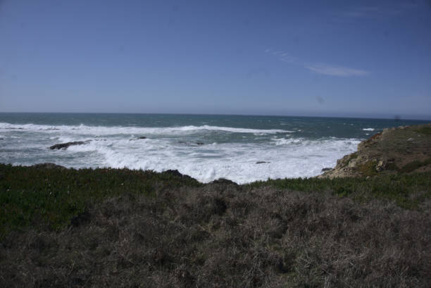 istock Mendocino Coast and Trails 1318717874