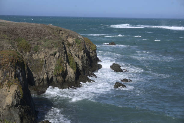 istock Mendocino Coast and Trails 1318717949