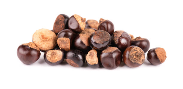 istock Guarana seed isolated on white background. Dietary supplement guarana, caffeine cource for energy drinks. Paullinia cupana. 1318718280