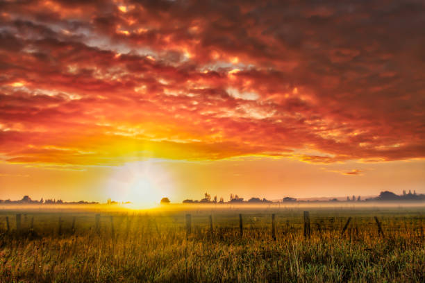 Free Stock Photo of sunrise over the field | Download Free Images and ...