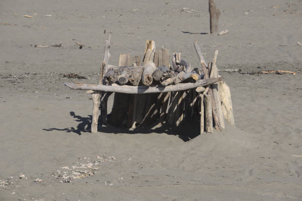 istock Ocean Beach and San Francisco 1318725991