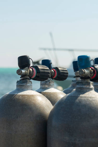 istock Scuba diving air tanks 1318727109