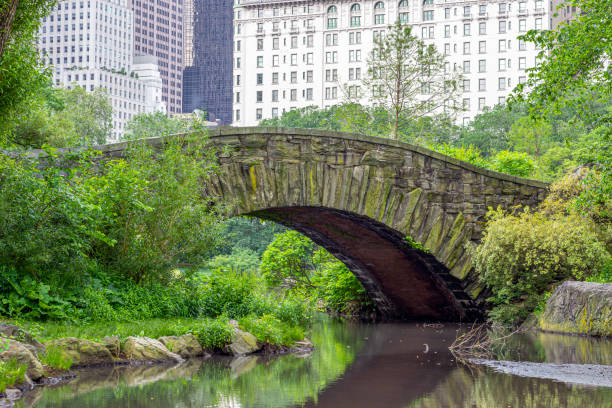 istock Gapstow Bridge in Central Park in spring 1318728146