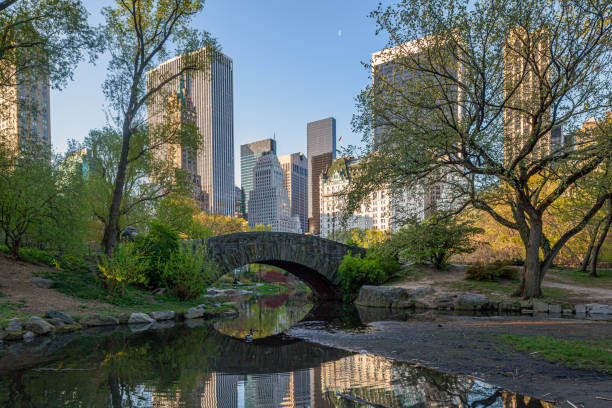 istock Gapstow Bridge in Central Park in spring 1318728167