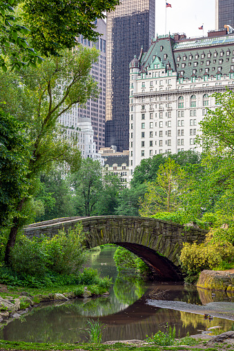 Gapstow Bridge in Central Park  in spring early in the morning