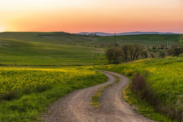 istock Scenic countryside landscape 1318731118