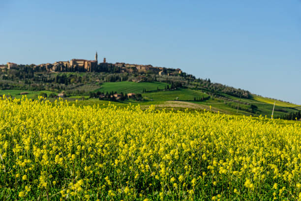 istock Scenic countryside landscape 1318731278