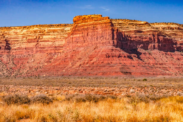 istock Colorful Valley of Gods Red Cliffs Mexican Hat Utah 1318731294