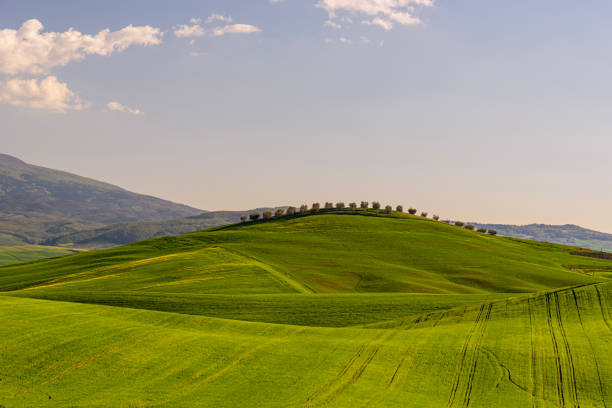 Idyllic view of a scenic countryside panorama. Soft rolling hills. Spring colors.