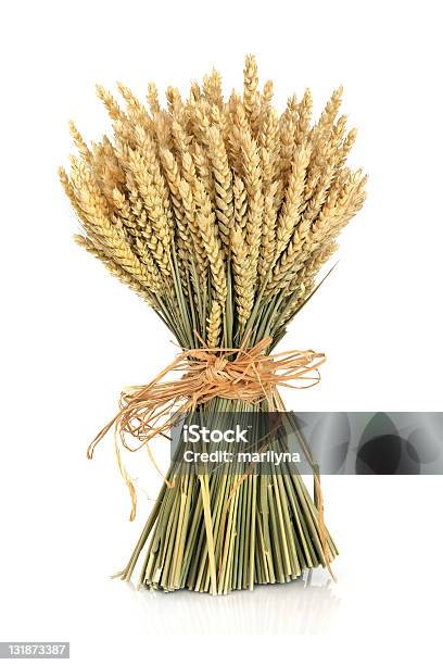 小麦の束 - 小麦のストックフォトや画像を多数ご用意 - 小麦, 束, ラフィアヤシ