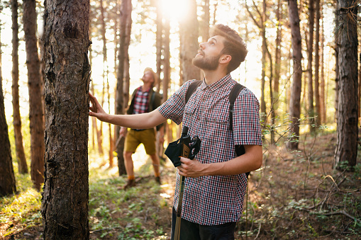 Two young male hikers standing in the woods and observe the nature around them.